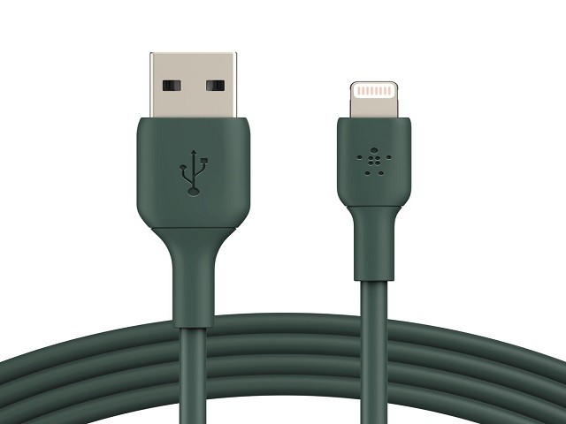 Belkin BOOST CHARGE - Cable Lightning - Lightning macho a USB macho - 1 m - verde noche