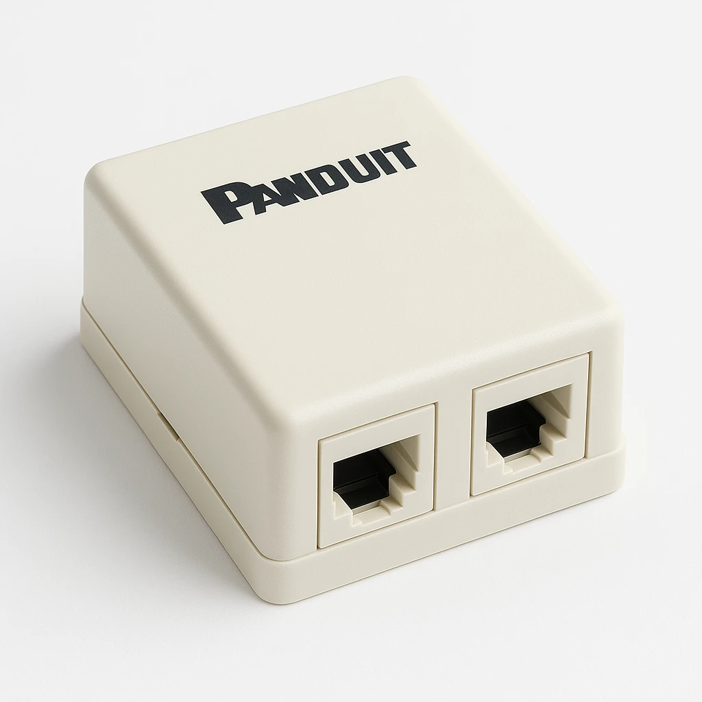 Panduit MINI-COM - Caja montaje superficie de red - blanco apagado - 2 puertos
