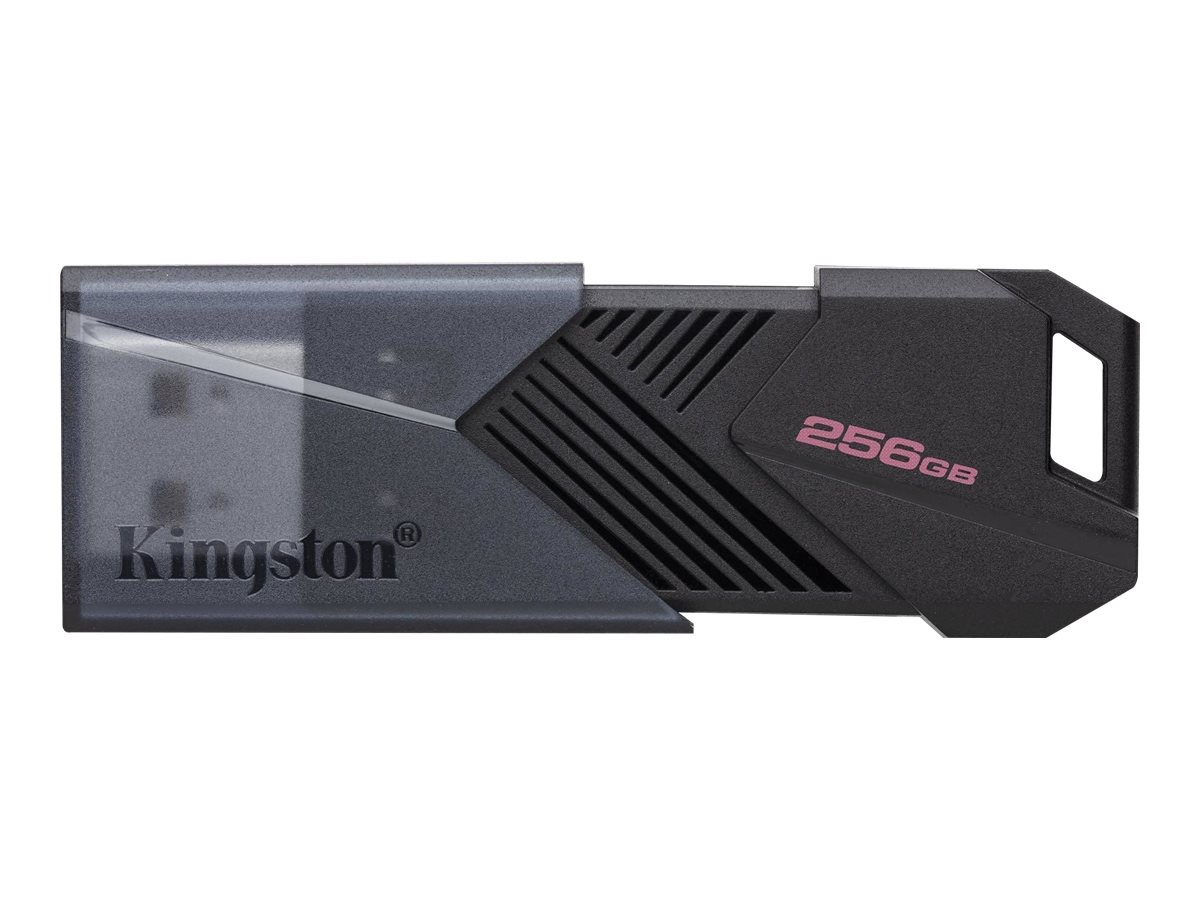 Kingston DataTraveler Onyx - Unidad flash USB - 256 GB - USB 3.2 Gen 1 - negro mate